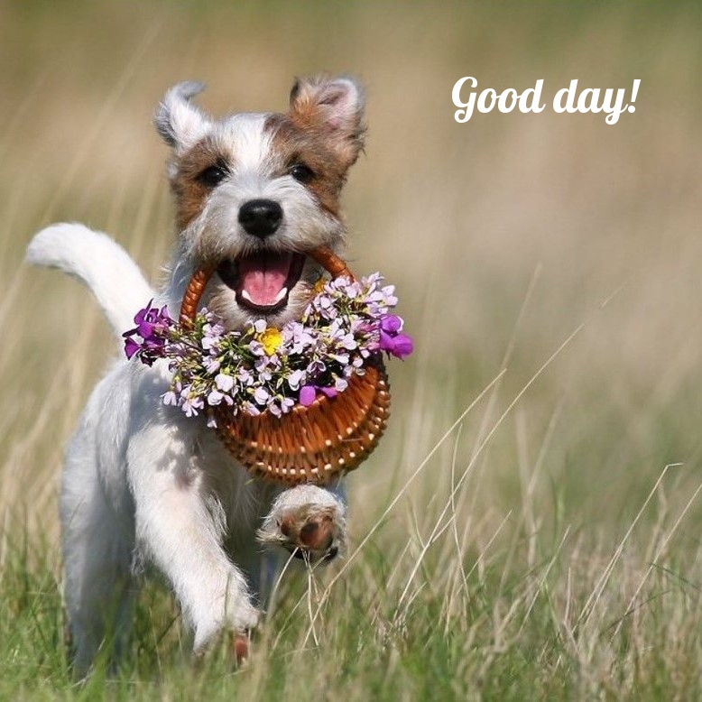 Pictures with names Good day Pictures with names Good day