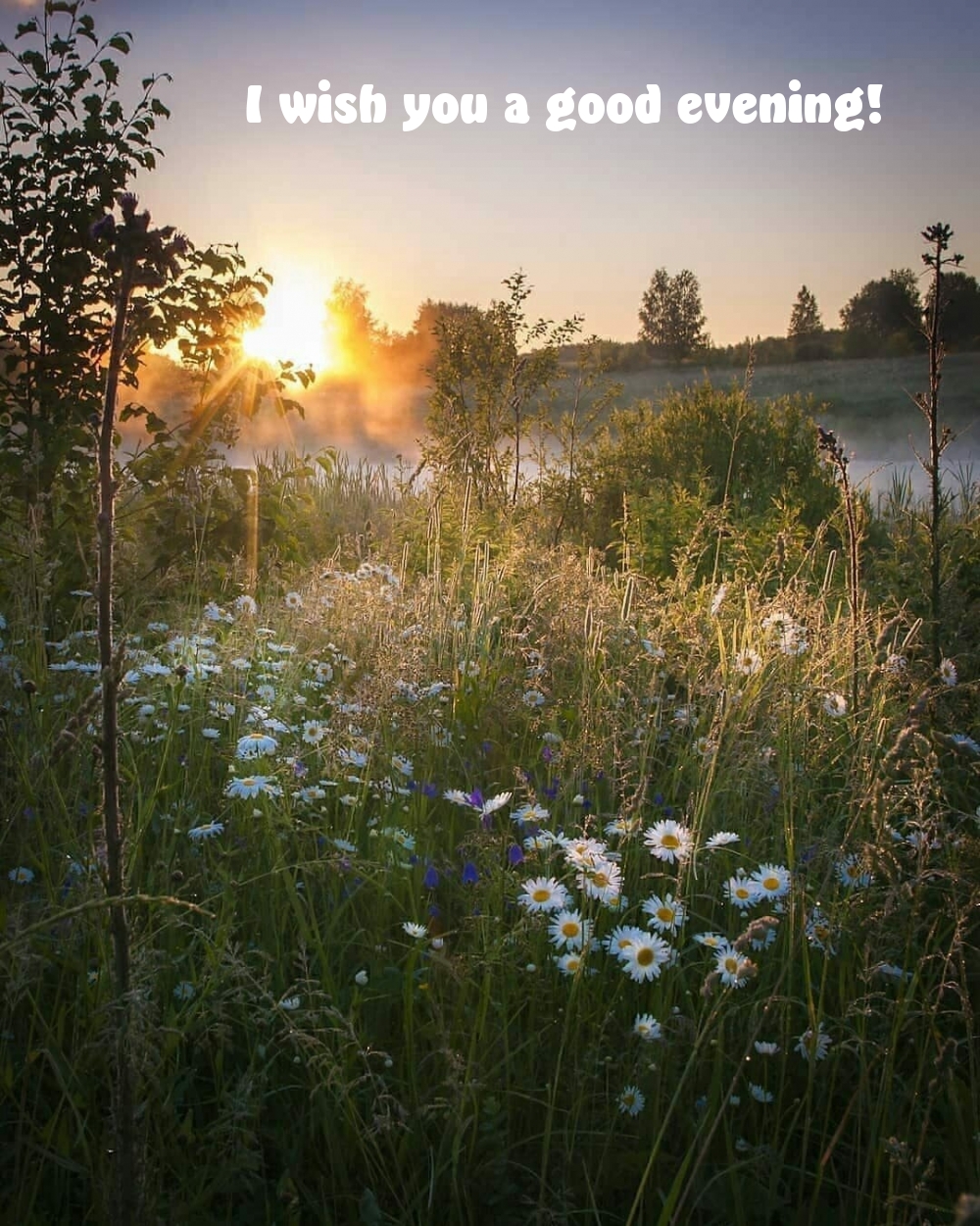 Pictures with names Good evening Pictures with names Good evening