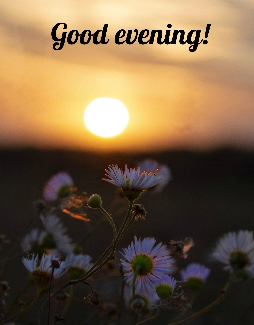 Pictures with names Good evening Pictures with names Good evening