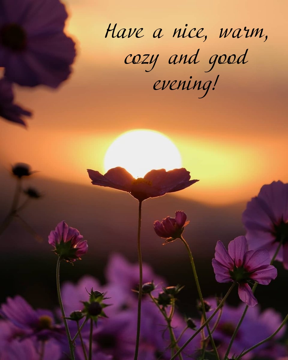 Pictures with names Good evening Pictures with names Good evening