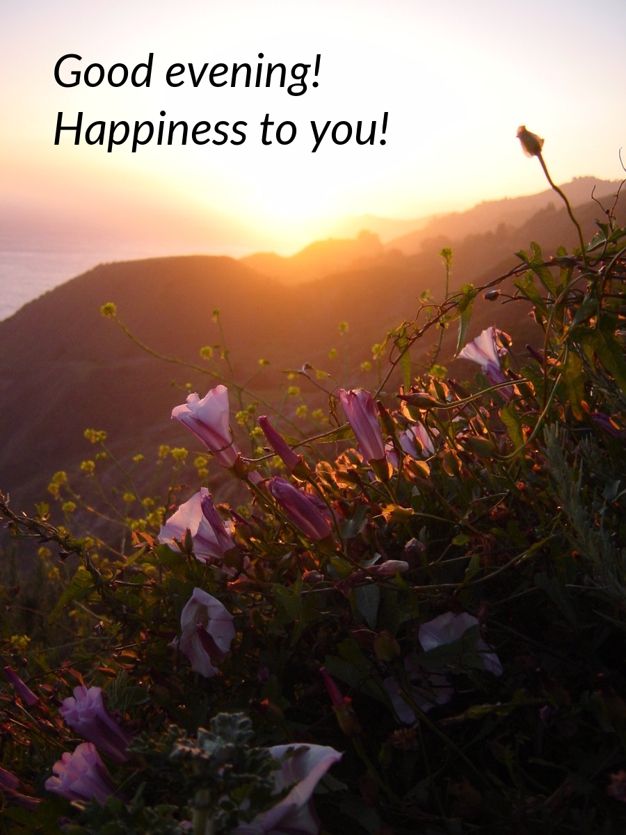 Pictures with names Good evening Pictures with names Good evening