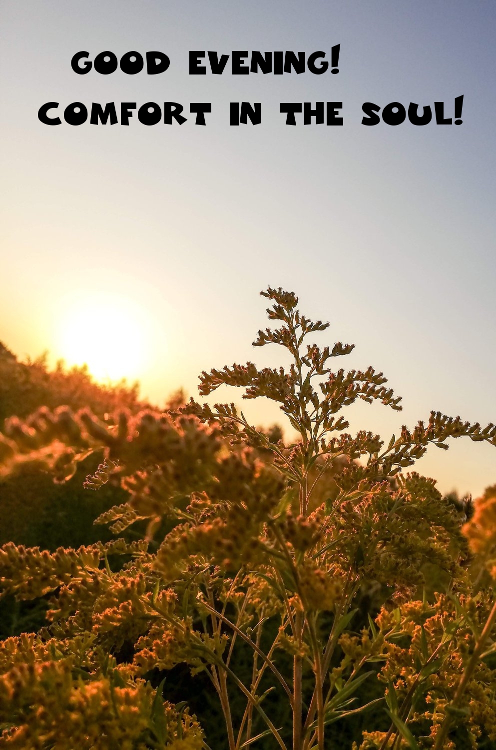 Pictures with names Good evening Pictures with names Good evening