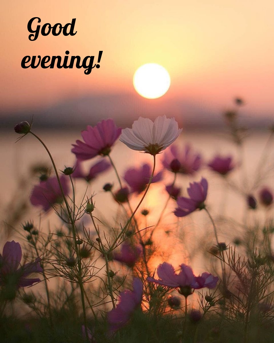 Pictures with names Good evening Pictures with names Good evening