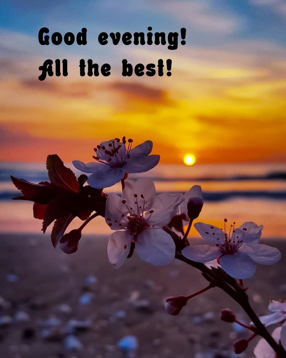 Pictures with names Good evening Pictures with names Good evening