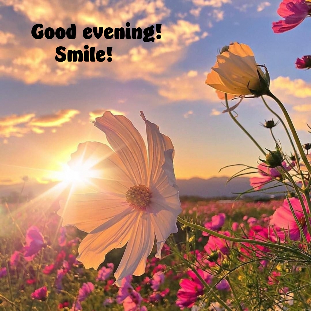 Pictures with names Good evening Pictures with names Good evening