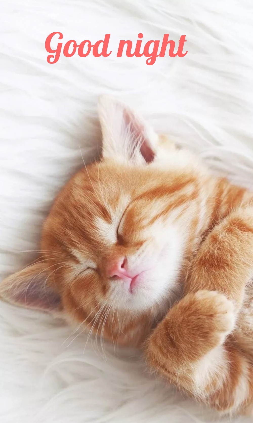 Pictures with names Goodnight Pictures with names Goodnight