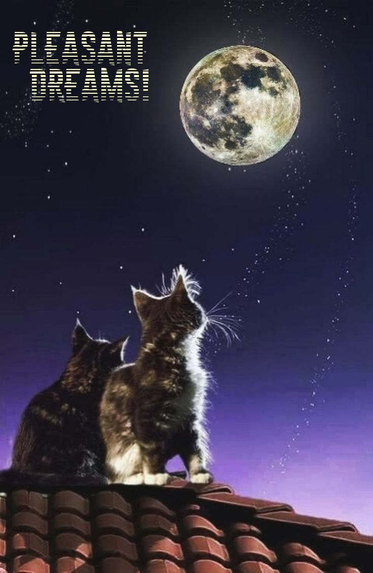 Pictures with names Goodnight Pictures with names Goodnight