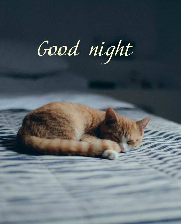 Pictures with names Goodnight Pictures with names Goodnight