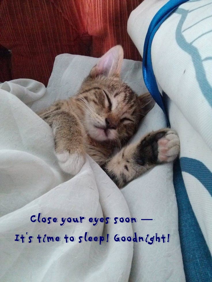 Pictures with names Goodnight Pictures with names Goodnight