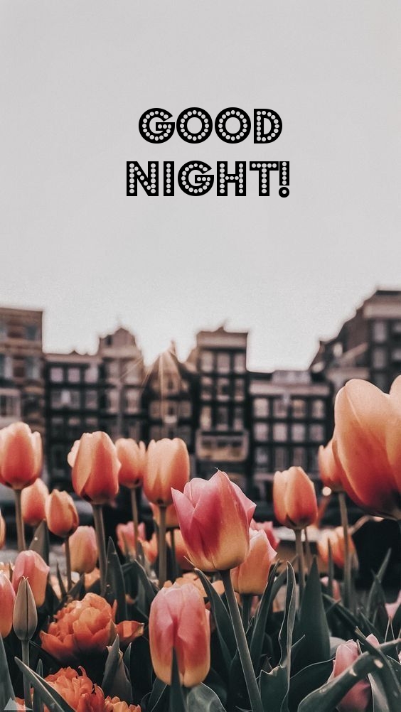 Pictures with names Goodnight Pictures with names Goodnight