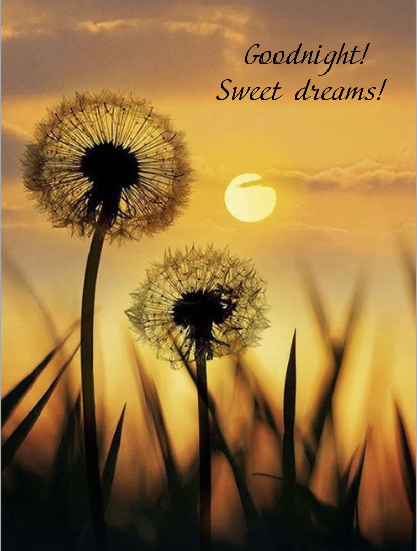 Pictures with names Goodnight Pictures with names Goodnight