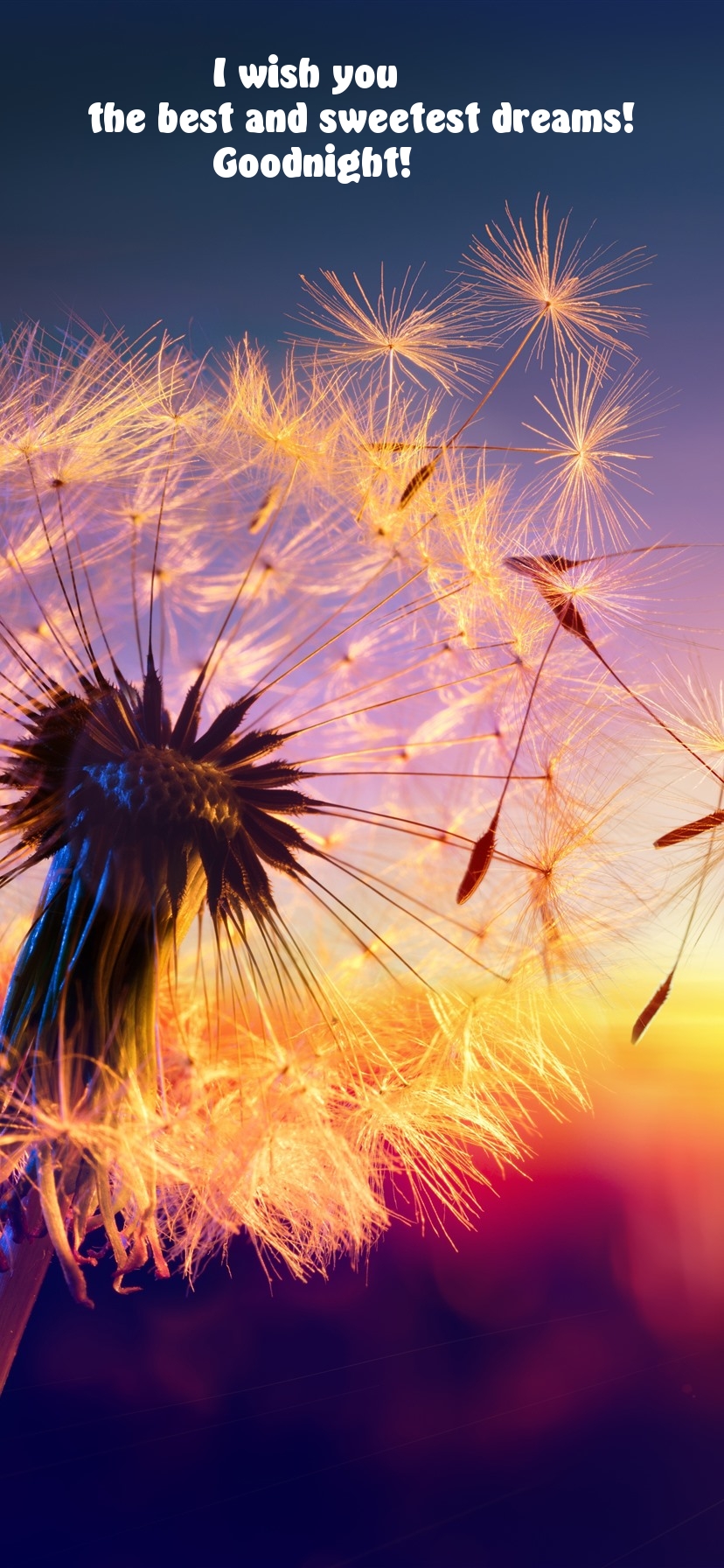 Pictures with names Goodnight Pictures with names Goodnight