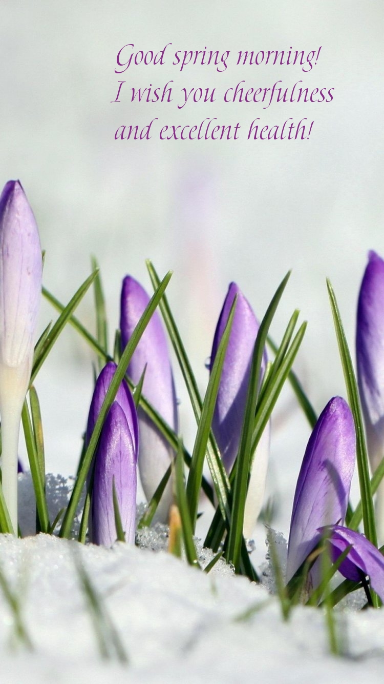 Pictures with names Good spring morning Pictures with names Good spring morning