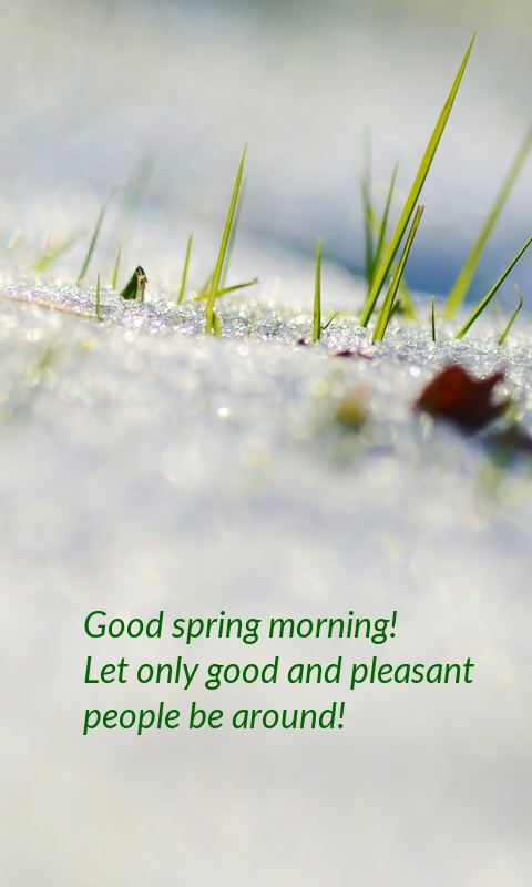 Pictures with names Good spring morning Pictures with names Good spring morning