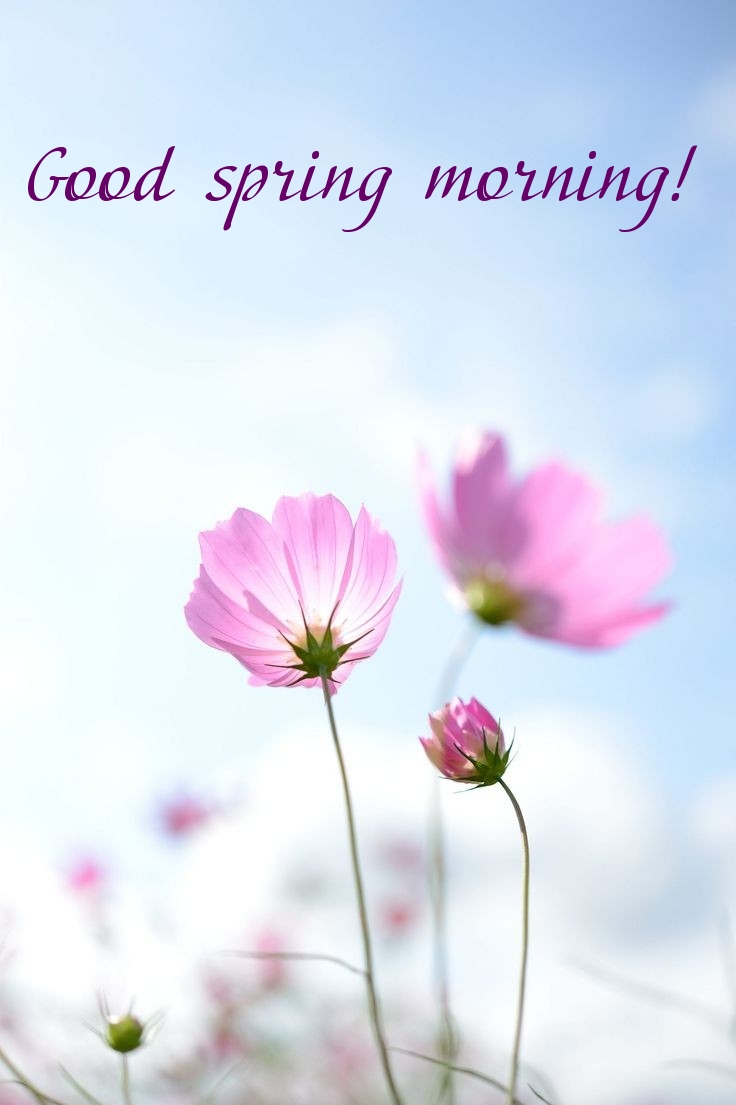 Pictures with names Good spring morning Pictures with names Good spring morning