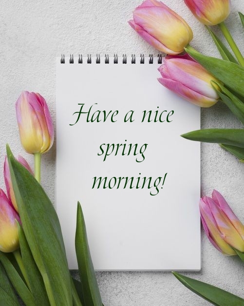 Pictures with names Good spring morning Pictures with names Good spring morning