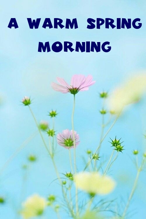 Pictures with names Good spring morning Pictures with names Good spring morning