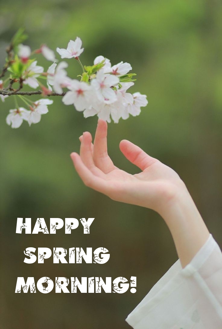 Pictures with names Good spring morning Pictures with names Good spring morning