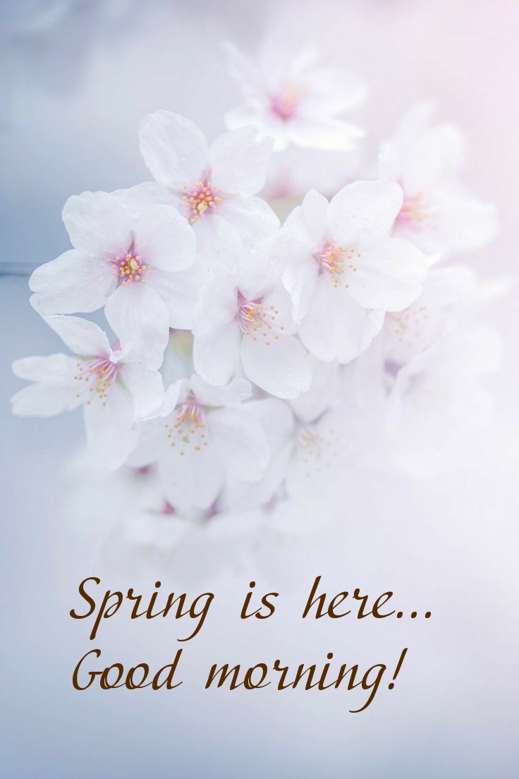 Pictures with names Good spring morning Pictures with names Good spring morning