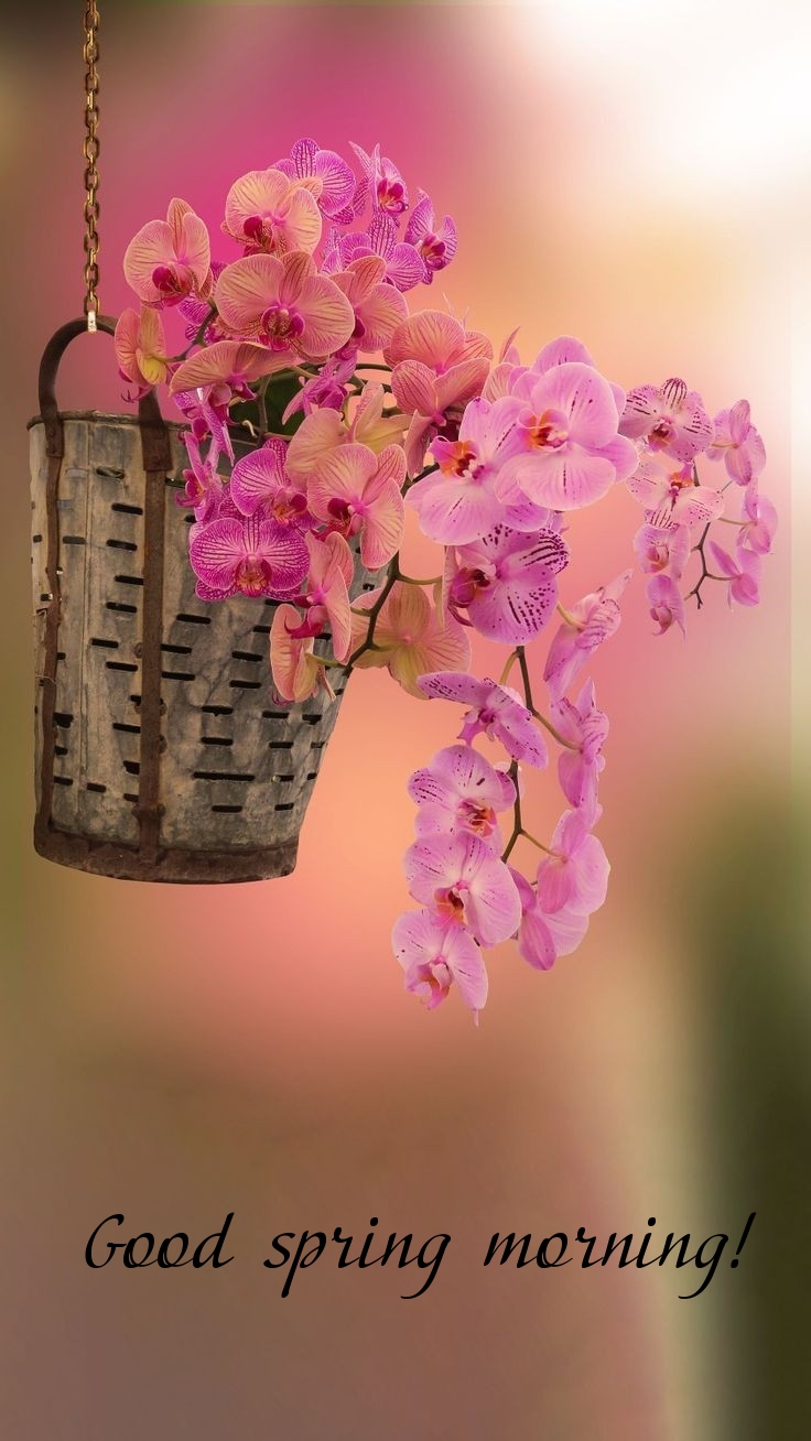 Pictures with names Good spring morning Pictures with names Good spring morning