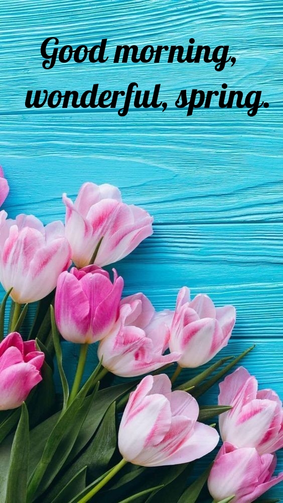 Pictures with names Good spring morning Pictures with names Good spring morning