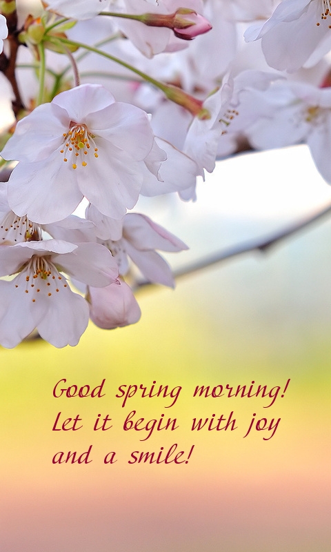 Pictures with names Good spring morning Pictures with names Good spring morning