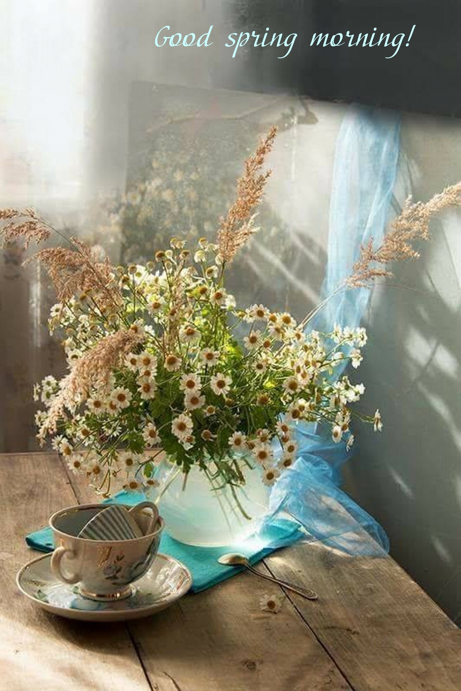 Pictures with names Good spring morning Pictures with names Good spring morning