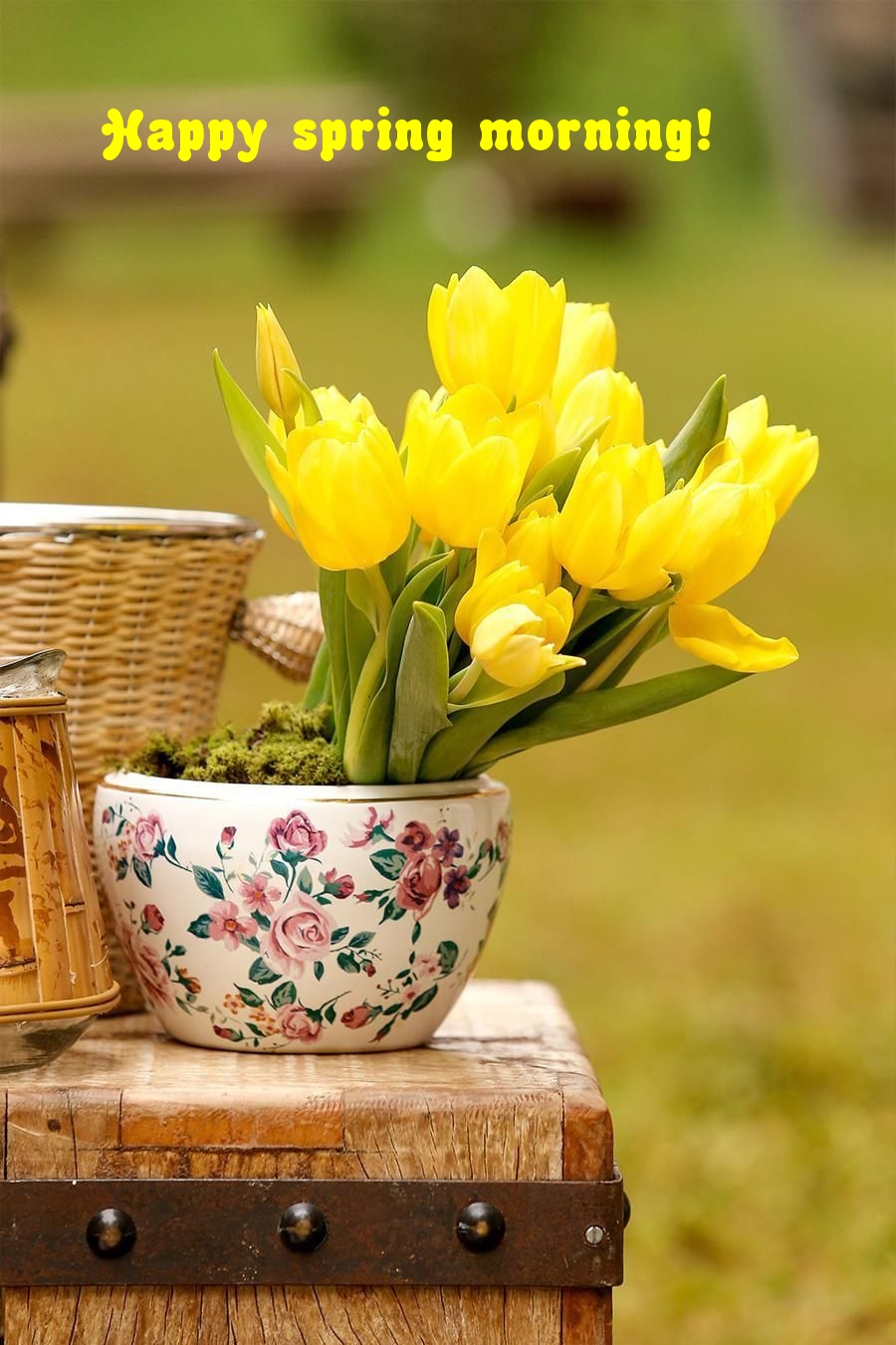 Pictures with names Good spring morning Pictures with names Good spring morning