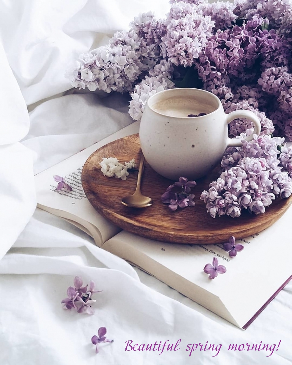 Pictures with names Good spring morning Pictures with names Good spring morning