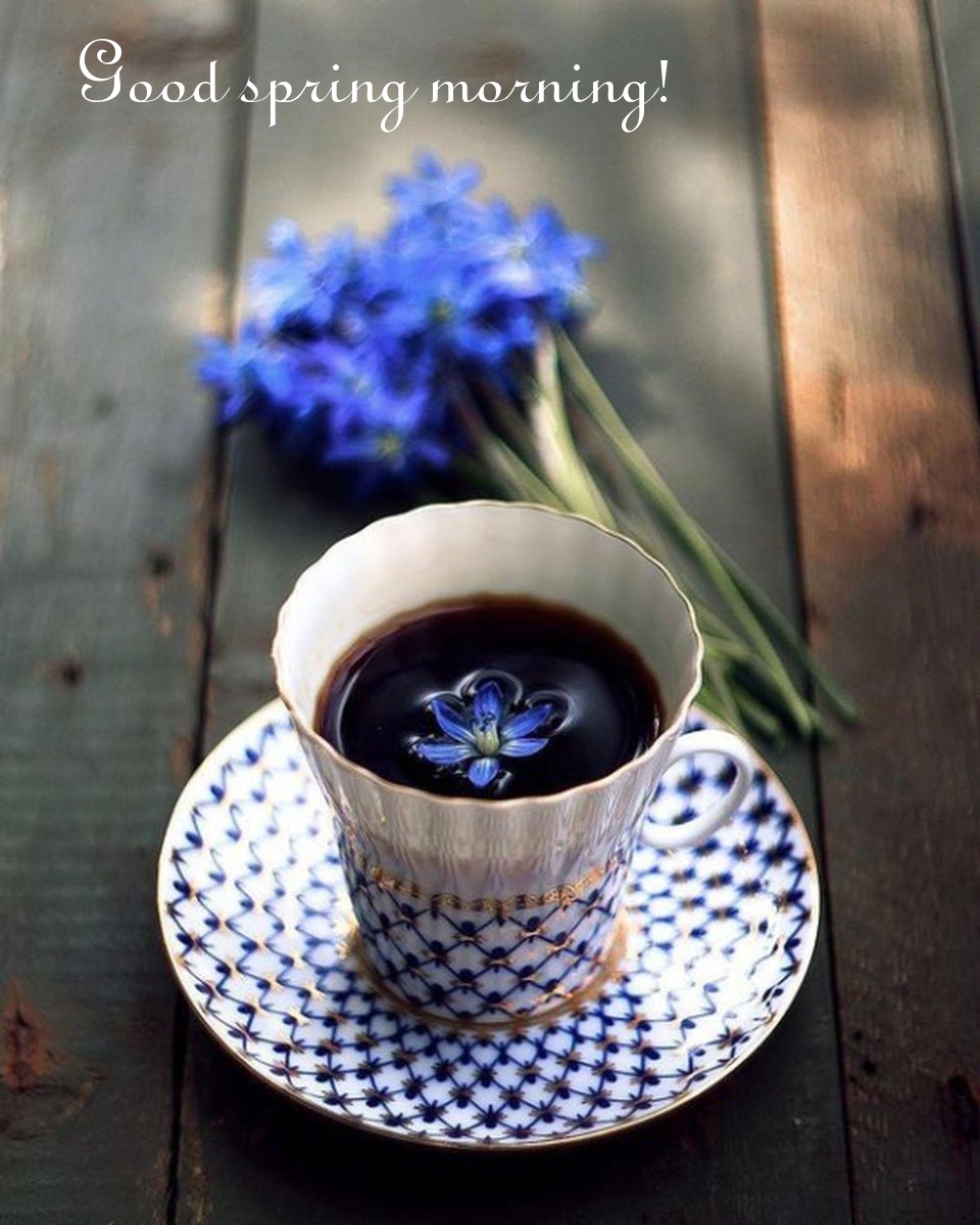 Pictures with names Good spring morning Pictures with names Good spring morning