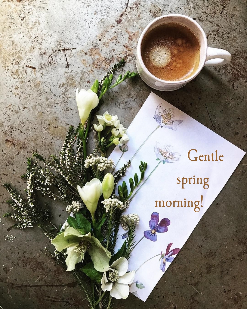 Pictures with names Good spring morning Pictures with names Good spring morning