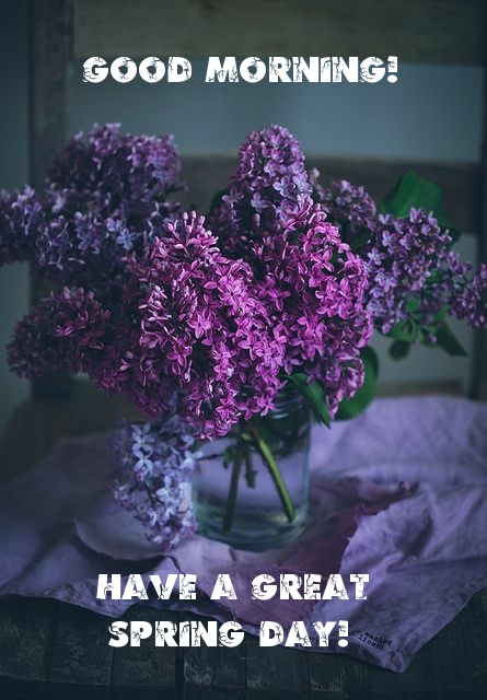 Pictures with names Good spring morning Pictures with names Good spring morning