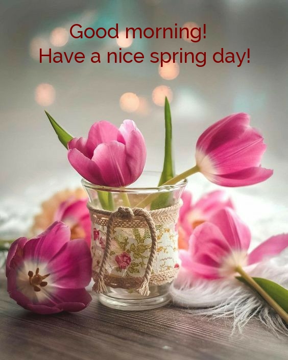 Pictures with names Good spring morning Pictures with names Good spring morning