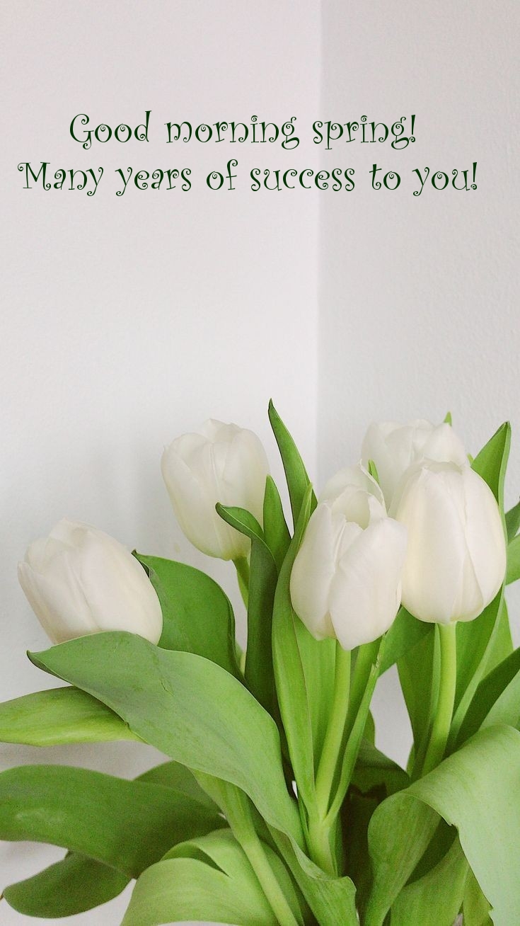 Pictures with names Good spring morning Pictures with names Good spring morning