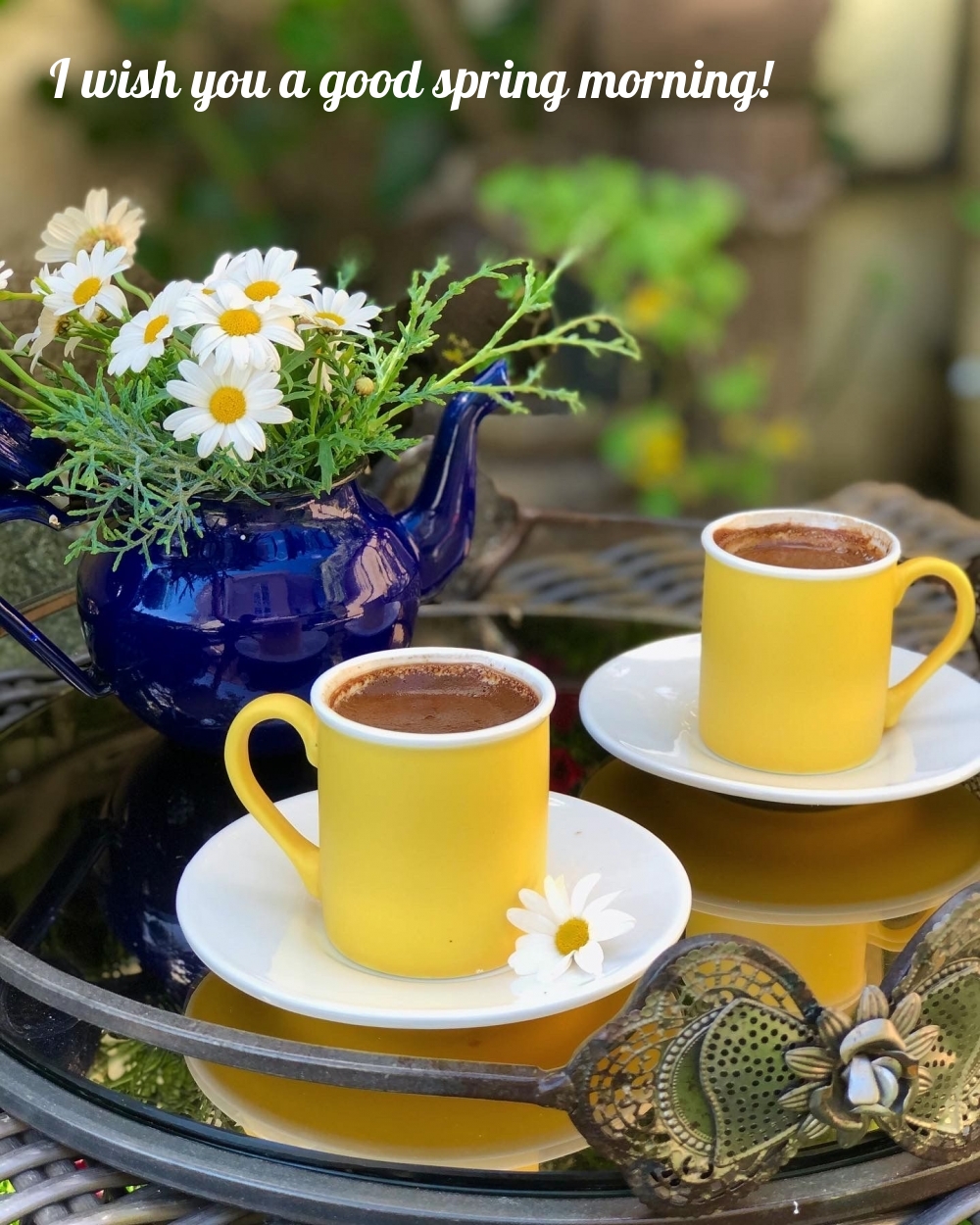 Pictures with names Good spring morning Pictures with names Good spring morning