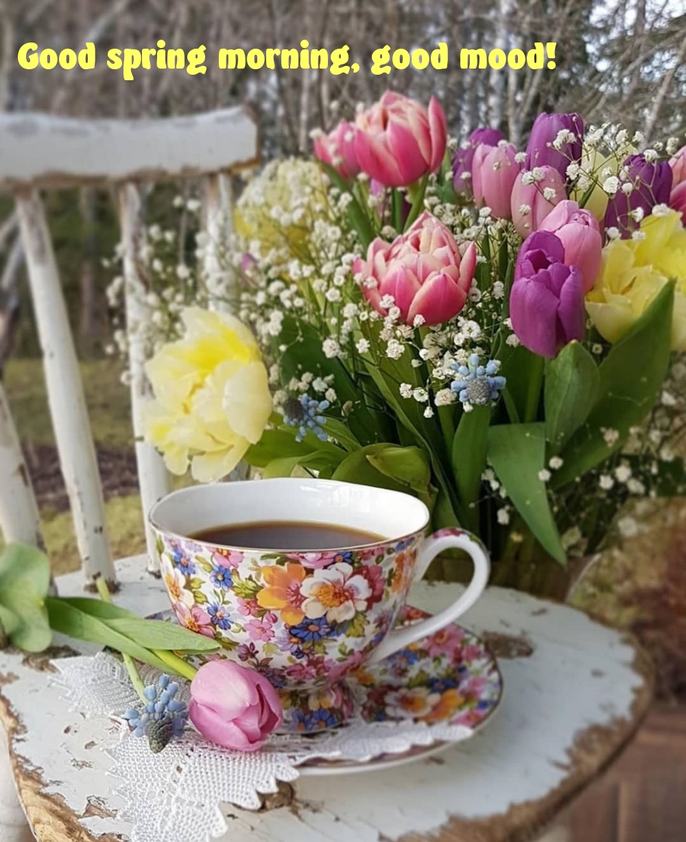 Pictures with names Good spring morning Pictures with names Good spring morning