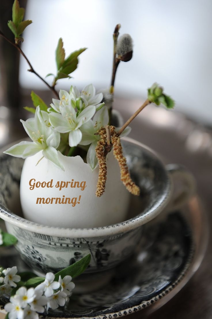 Pictures with names Good spring morning Pictures with names Good spring morning