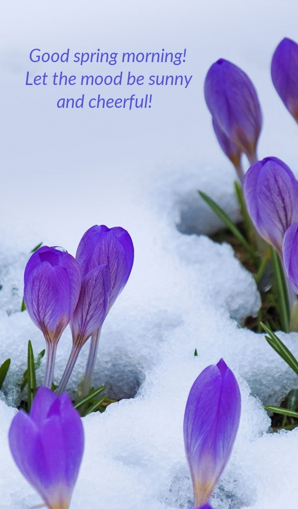 Pictures with names Good spring morning Pictures with names Good spring morning