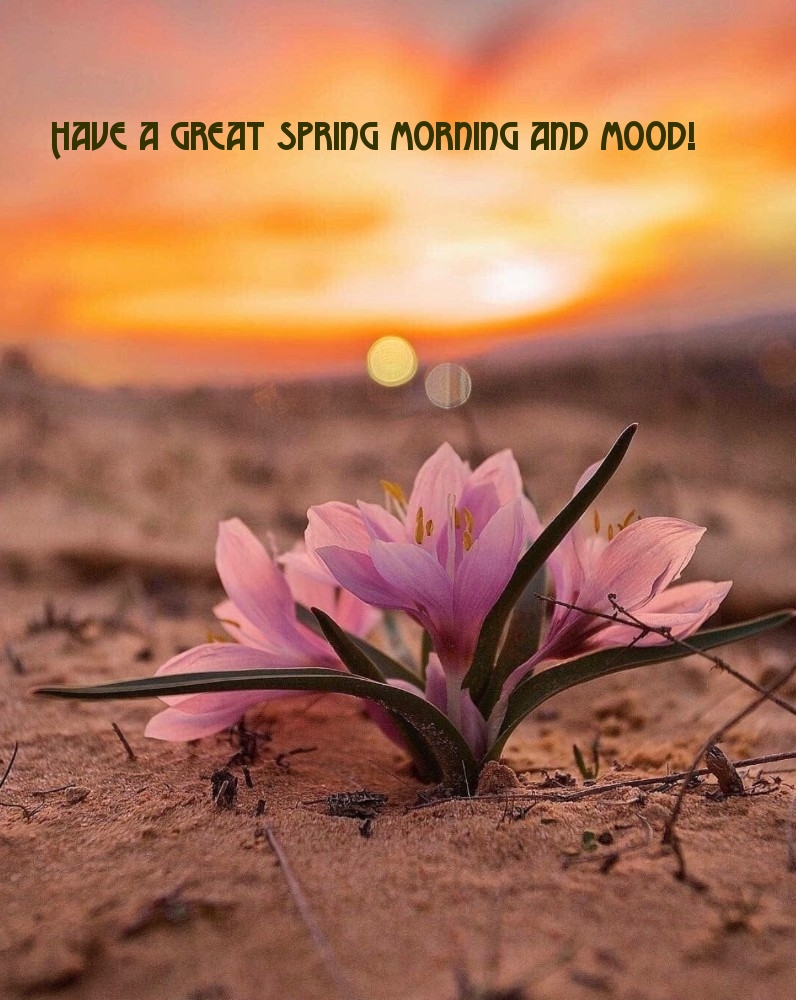 Pictures with names Good spring morning Pictures with names Good spring morning