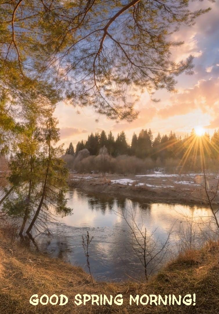 Pictures with names Good spring morning Pictures with names Good spring morning