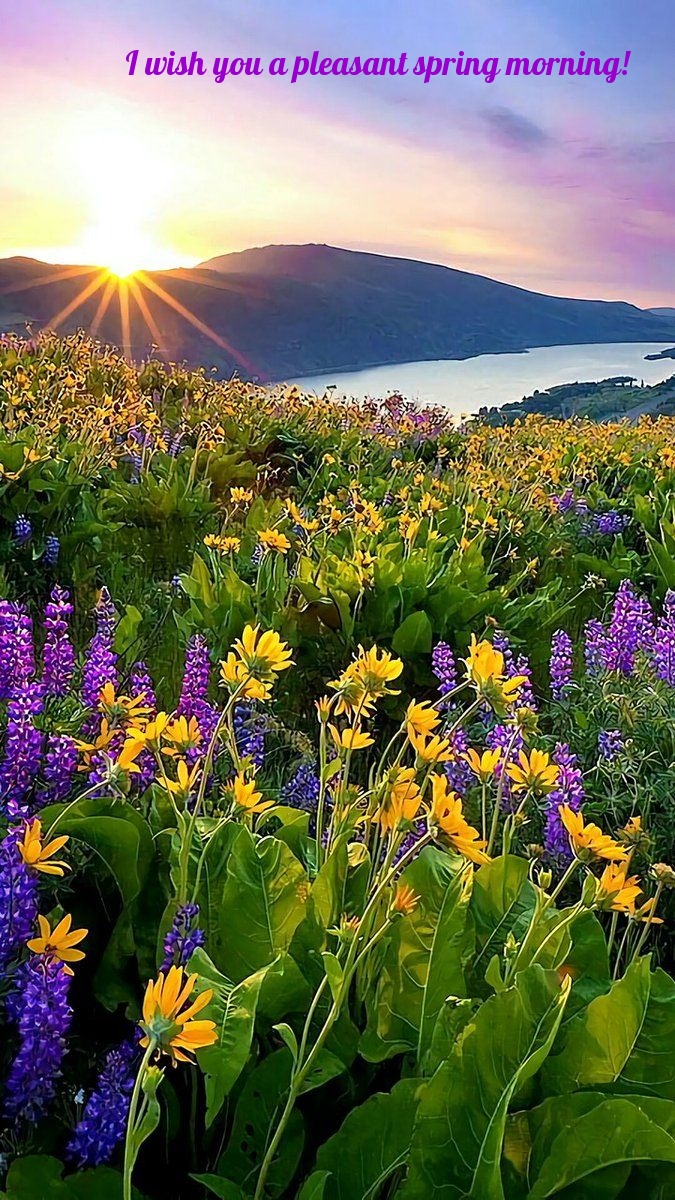 Pictures with names Good spring morning Pictures with names Good spring morning