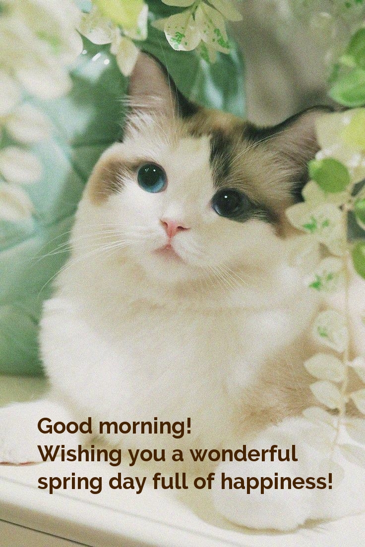 Pictures with names Good spring morning Pictures with names Good spring morning