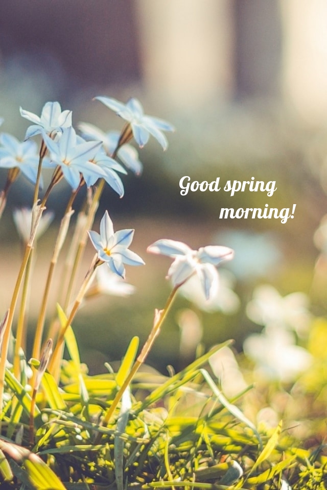 Pictures with names Good spring morning Pictures with names Good spring morning