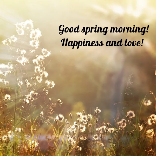 Pictures with names Good spring morning Pictures with names Good spring morning