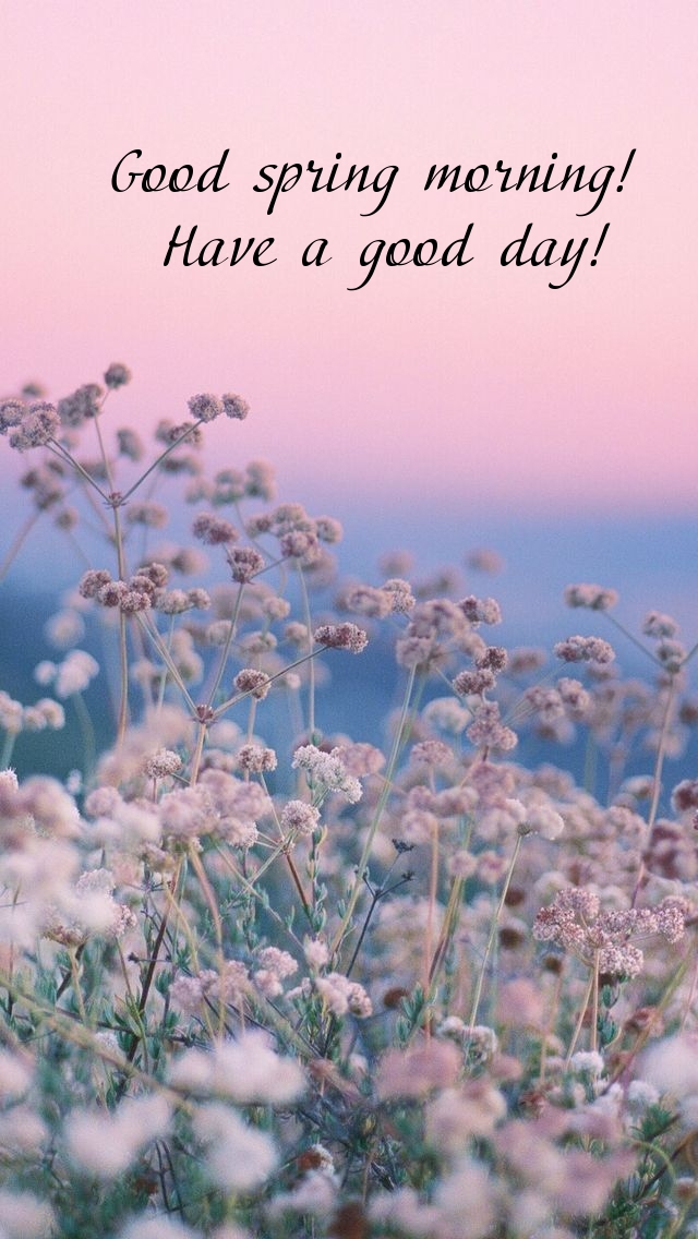 Pictures with names Good spring morning Pictures with names Good spring morning