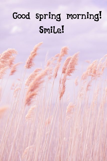 Pictures with names Good spring morning Pictures with names Good spring morning