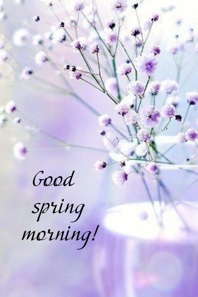 Pictures with names Good spring morning Pictures with names Good spring morning