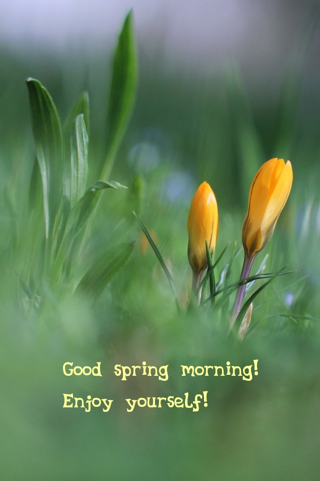 Pictures with names Good spring morning Pictures with names Good spring morning