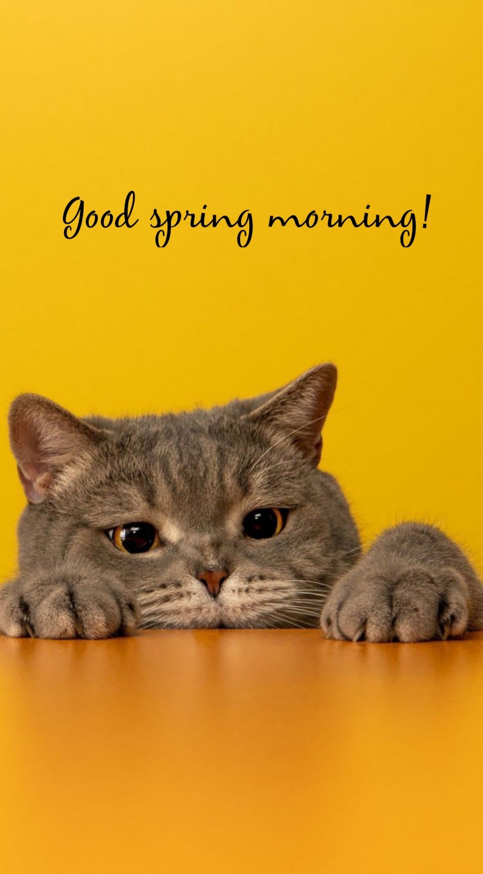 Pictures with names Good spring morning Pictures with names Good spring morning