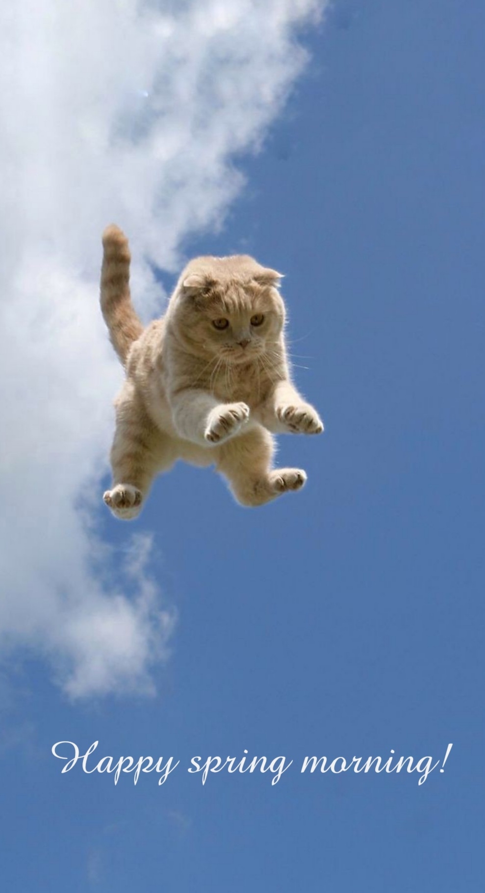 Pictures with names Good spring morning Pictures with names Good spring morning